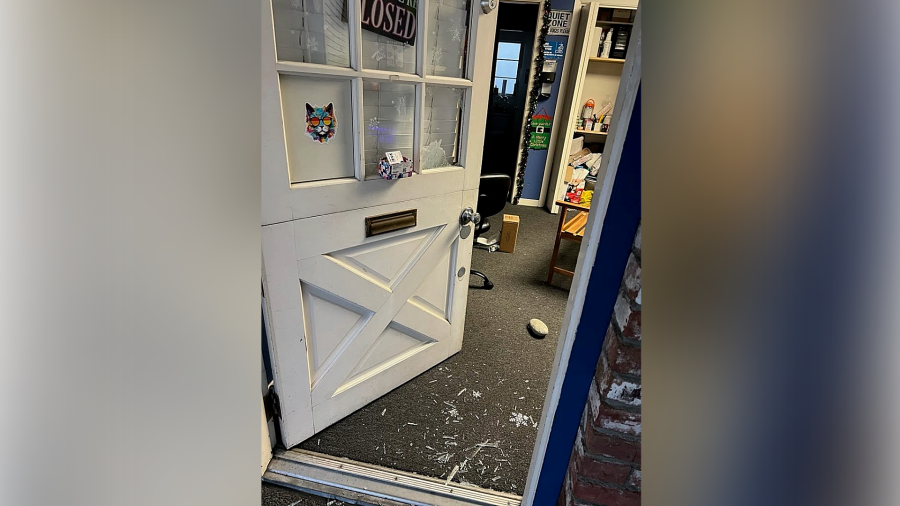 We are all heartbroken’: San Jose non-profit kitten rescue burglarized