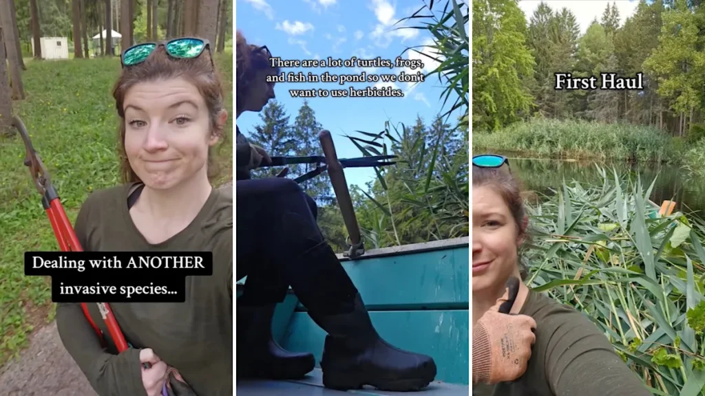 Woman takes matters into own hands after spotting concerning scene at local pond: ‘You accomplished a lot’