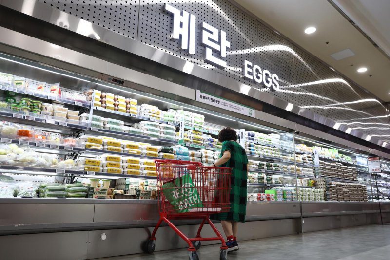 Egg prices top 7,000 won ($4.86) again as discount program ends