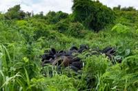 Hafa Adai Bingo fraud defendant gets 5 years in federal prison