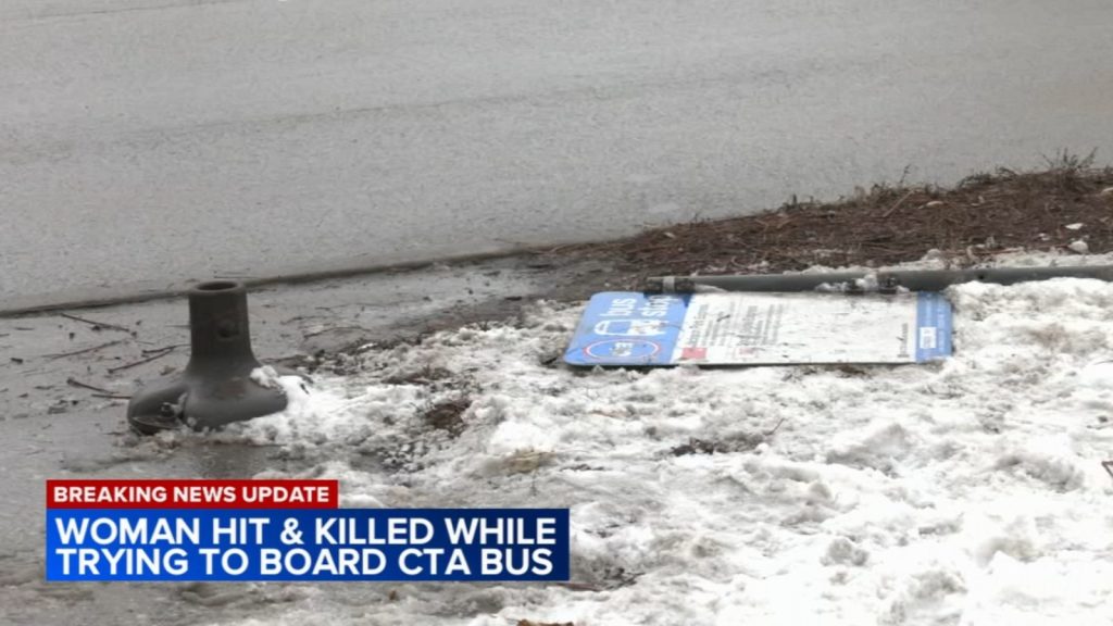 CTA bus driver cited for crash that killed woman in South Shore, police say