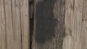 Swastikas spray-painted in areas of metro Atlanta