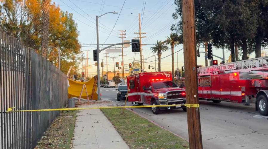 Tree trimmer fatally impaled on iron fence after 35-foot fall in L.A.