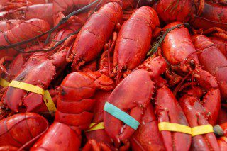 Oysters, crab, lobster stolen in separate New England thefts