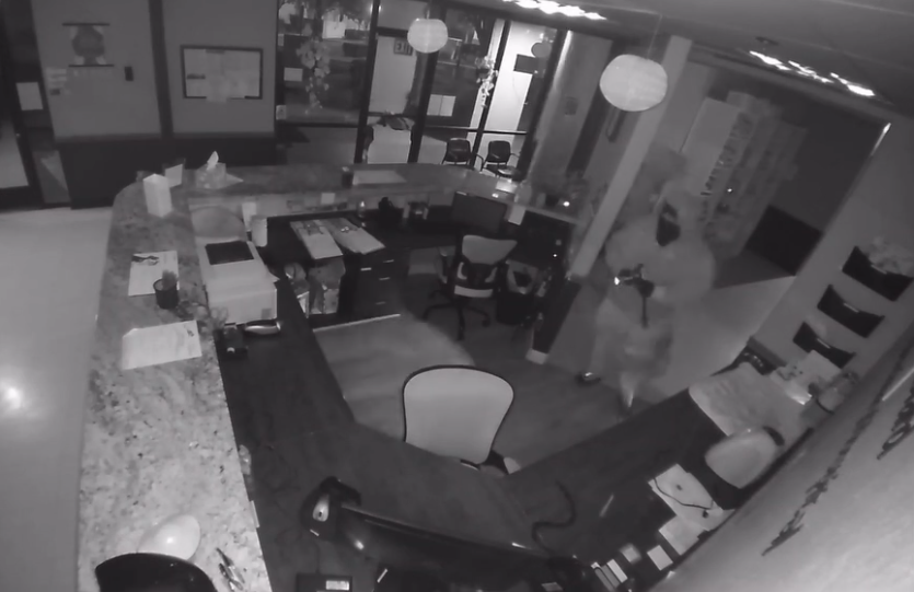 Video: Burglars steal pet ashes from East Bay vet’s office, business says