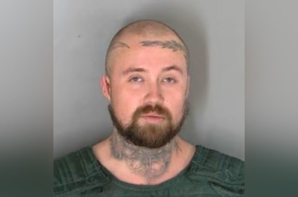 Macomb County Man Receives 6-20 Year Sentence for Arson and Animal Killing in Warren