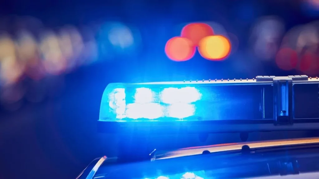 Police identify pedestrian struck and killed by car on Gravois in St. Louis