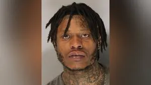 Man drove over 100 mph in stolen SUV, deputies say