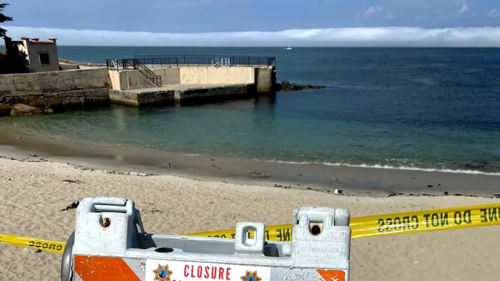 Swimmer who vanished after suspected shark attack shared ‘passion’ for ocean