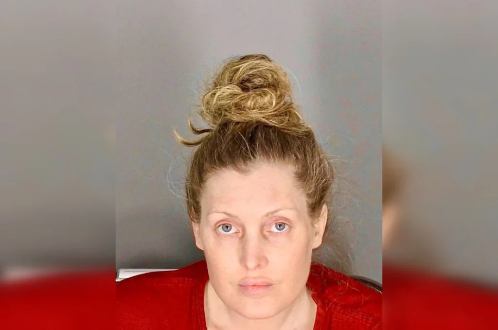 Auburn Hills Woman Charged With Felonies for Purse Snatching at Rochester Hills Grocery Stores