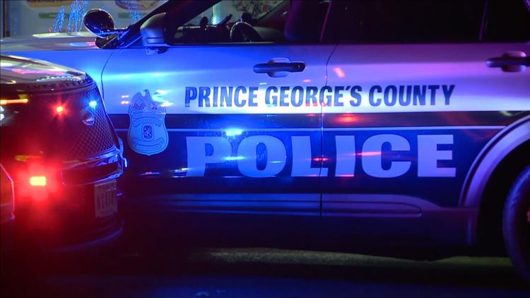 Dog set on fire in Prince George’s County neighborhood