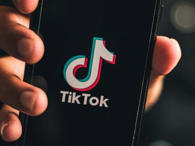 TikTok signs deal to create new US joint venture