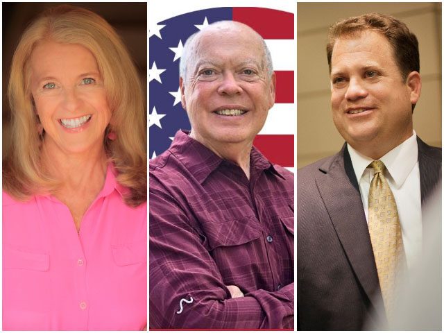 South Carolina Republicans Sweep Special Elections
