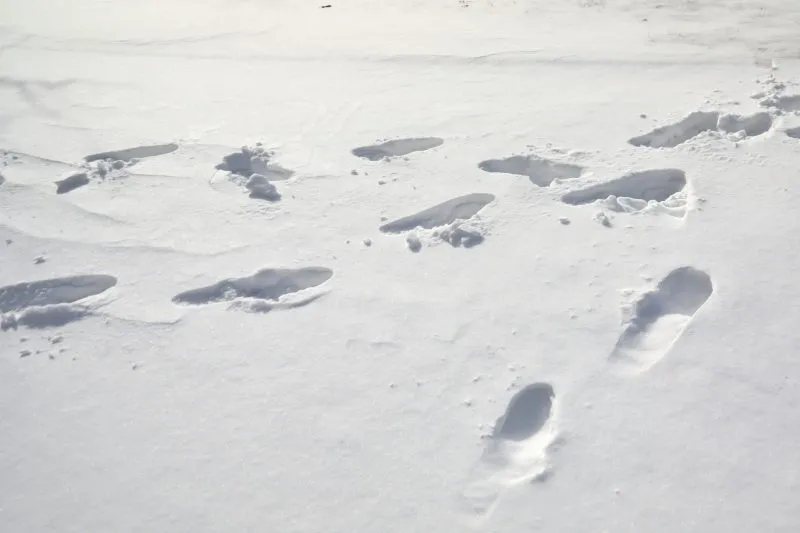 Snowy footprints lead police to Kenmore gun shop burglary attempt