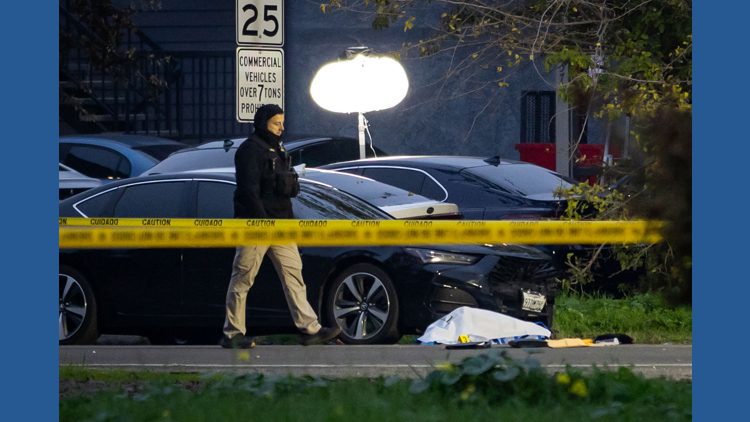 Investigators urge witnesses of the deadly shooting at a child’s party in California to come forward