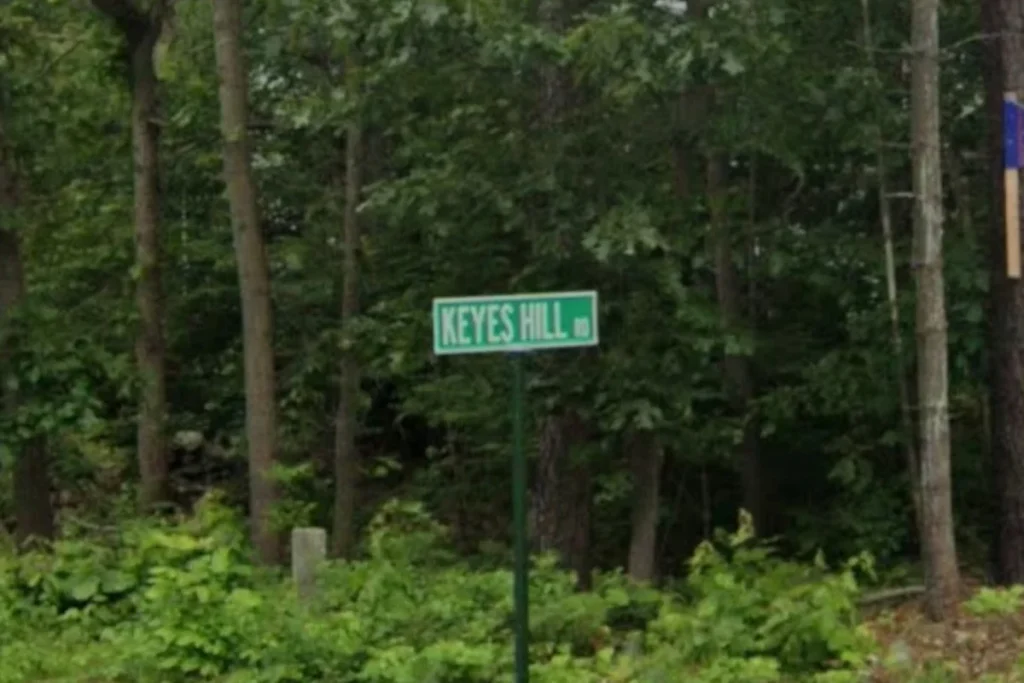 81-Year-Old Hudson Man Fatally Injured After Car Strikes Utility Pole in Pelham