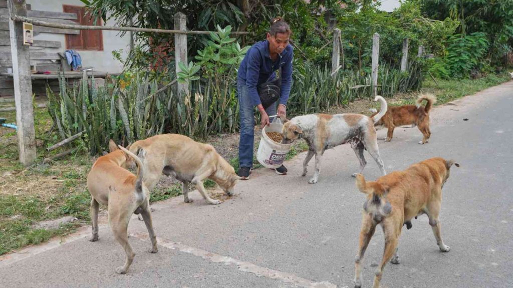 Thai villagers stay behind to guard empty homes as border clashes forced evacuations