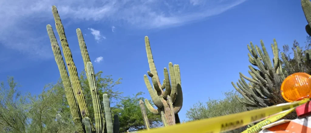 WARREN PETERSEN: Conservative Arizona Shows How To Maintain Rule Of Law In Divided Government