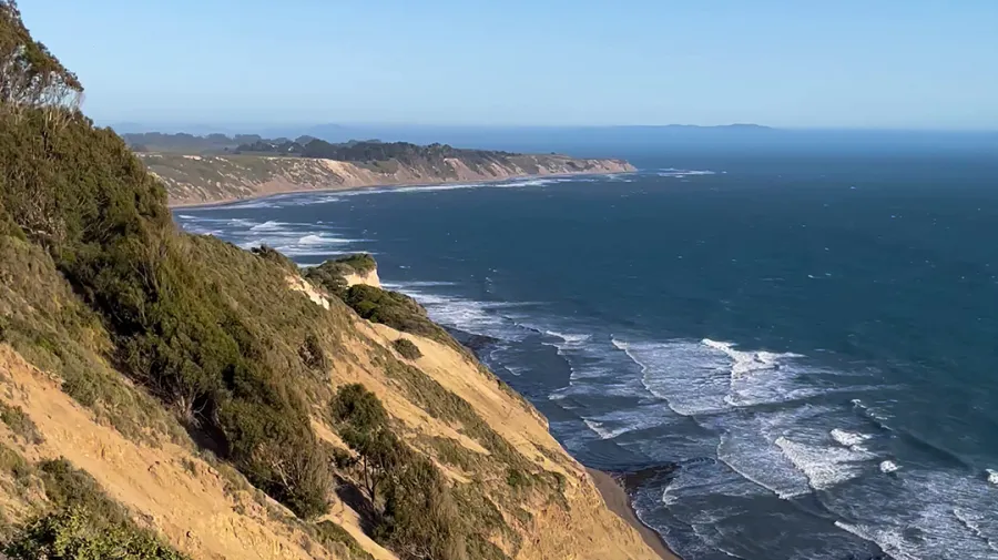 Rohnert Park duo pleads guilty to illegal fishing operation