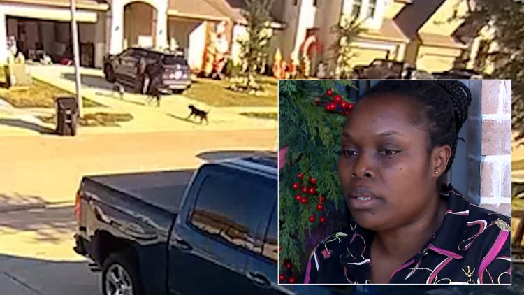 Killer dog pack in Katy leaves one man dead, mother injured while saving toddler