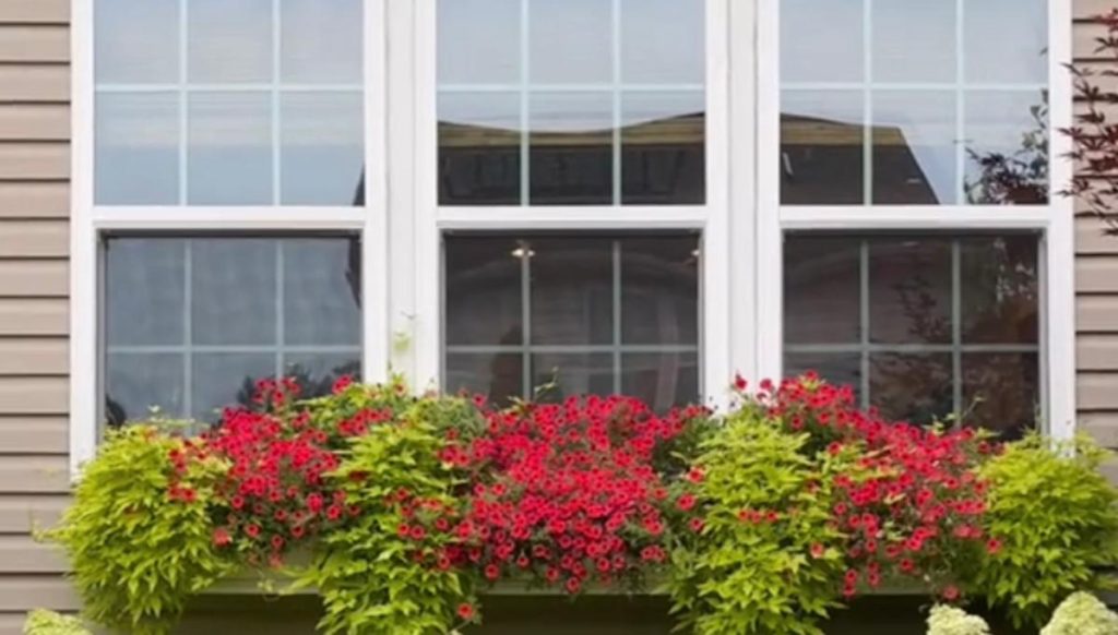 Homeowner shares dramatic before-and-after video after ripping out their lawn: ‘That’s … serious’