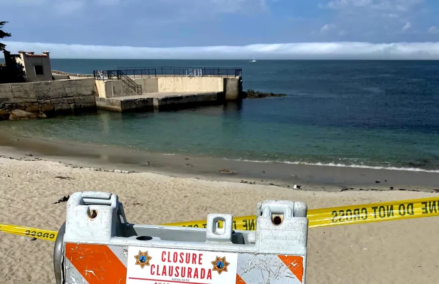 Body found after suspected Pacific Grove shark attack confirmed as Erica Fox