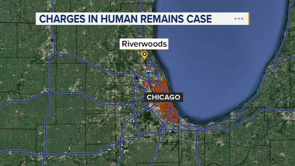 Woman facing charges 5 years after infant’s remains found in north suburbs, police say