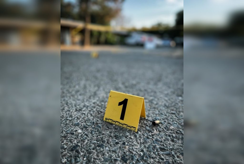 Family Party Melts Down As Relative Fires Shots Into Galt Sky