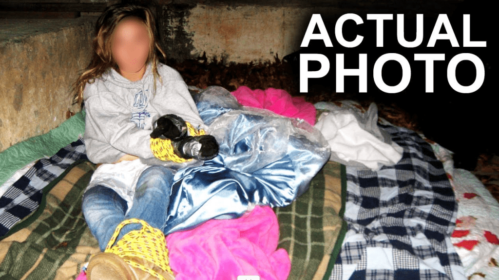 The Horror Inside the Hollowed Tree