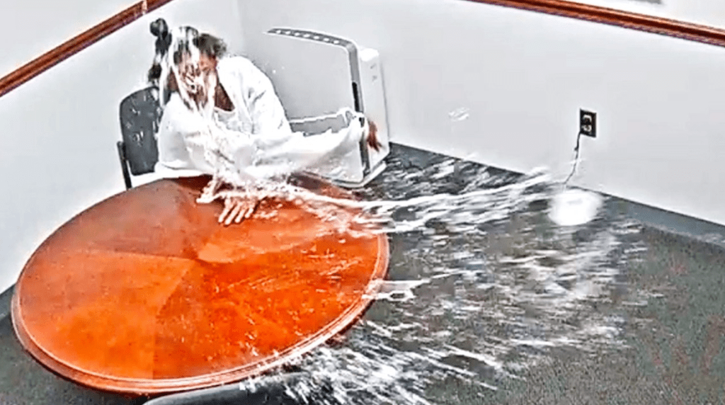 Grandma Snaps & Shoots Baby in the Head