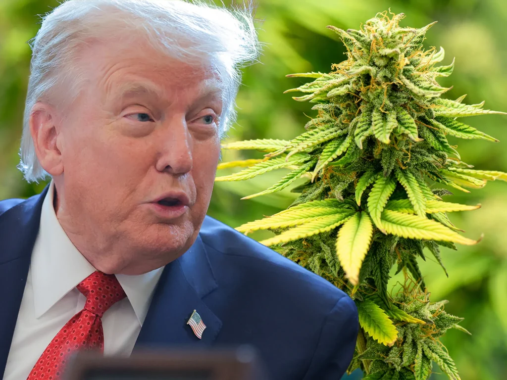 Donald Trump Signs Order to Reclassify Marijuana as Schedule 3 Drug