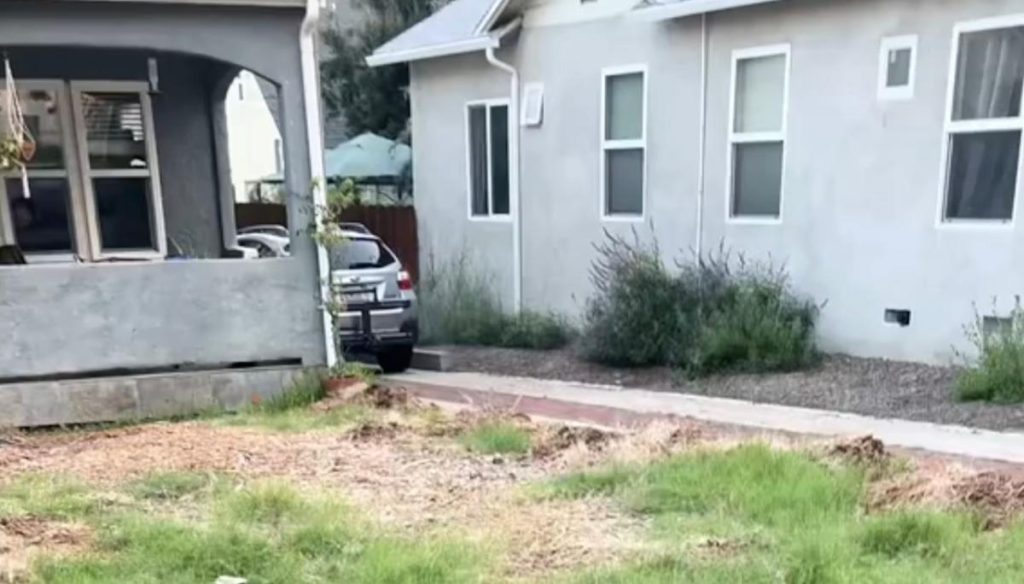 Homeowner shares before-and-after video after transforming lifeless front yard: ‘It gives you way more in return’