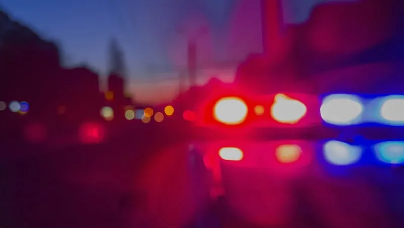 17 arrested, more than 50 dead roosters discovered in Provo cockfighting bust