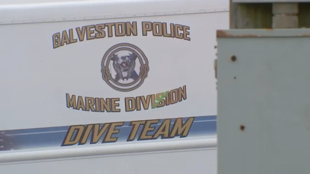 3 confirmed dead in plane that crashed near Galveston on medical support mission, US Coast Guard