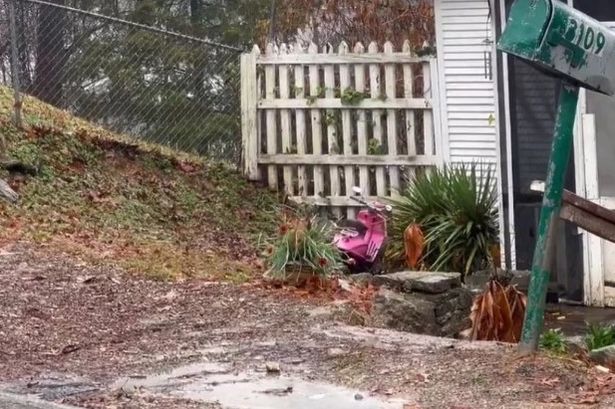 Tennessee kids found living in terrible conditions with so many roaches they crawled all over cops