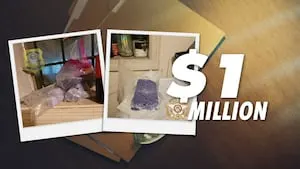 $1 million fentanyl bust stops ring selling drugs across several metro counties