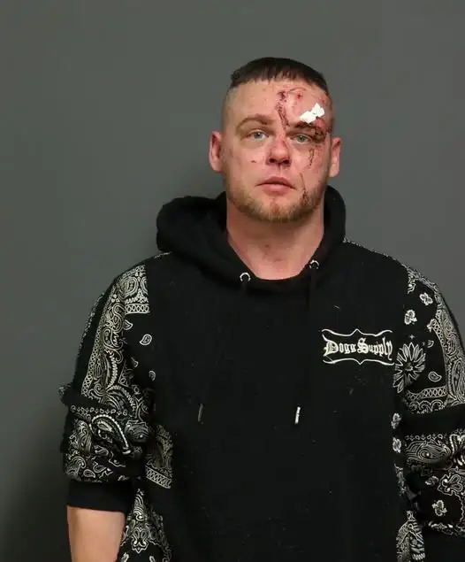 Vernon man arrested after fight