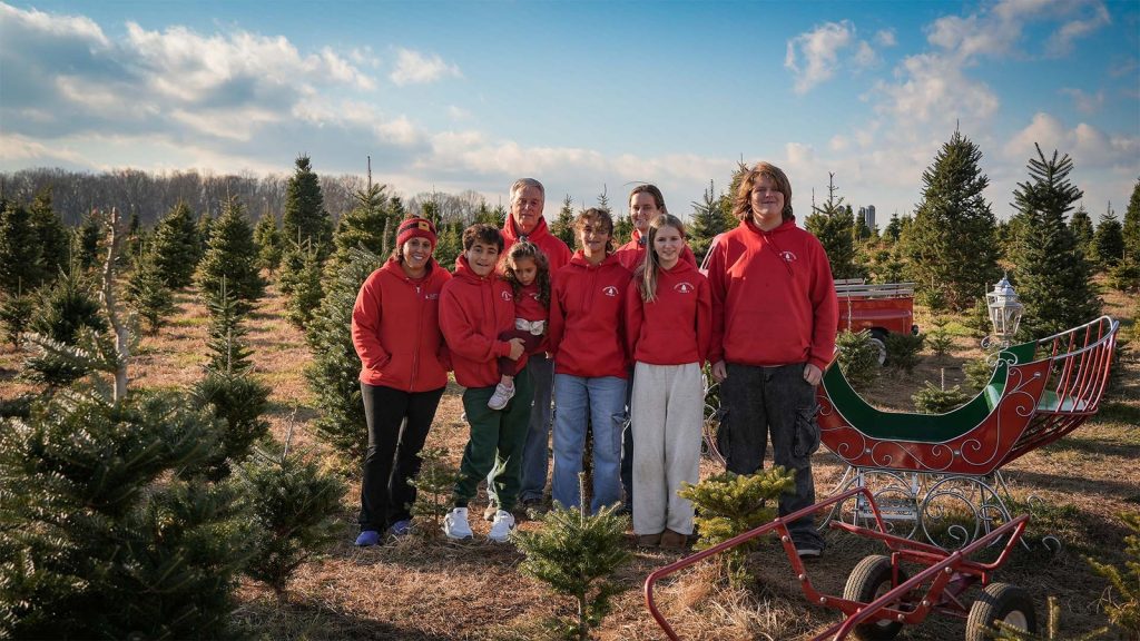 Cut your own tree and explore a gift shop at Clark’s Christmas Tree Farm