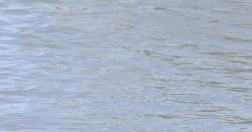 Young girl taken to hospital after being pulled from pool at Glendale home