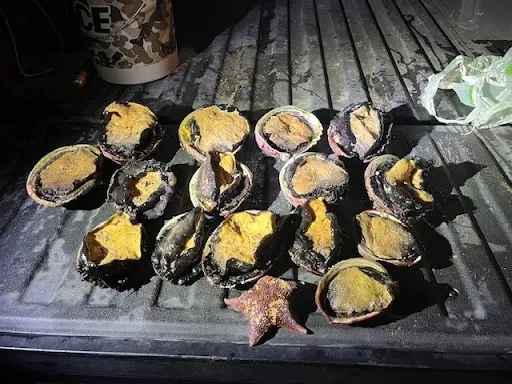 Man arrested on suspicion of poaching 15 abalone on Sonoma Coast