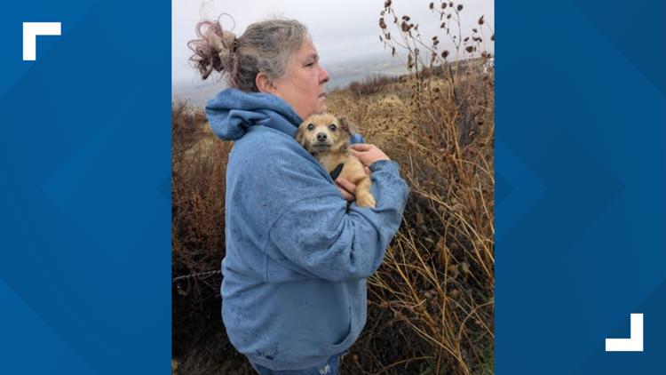 Authorities seek info on dogs shot, left in eastern Oregon