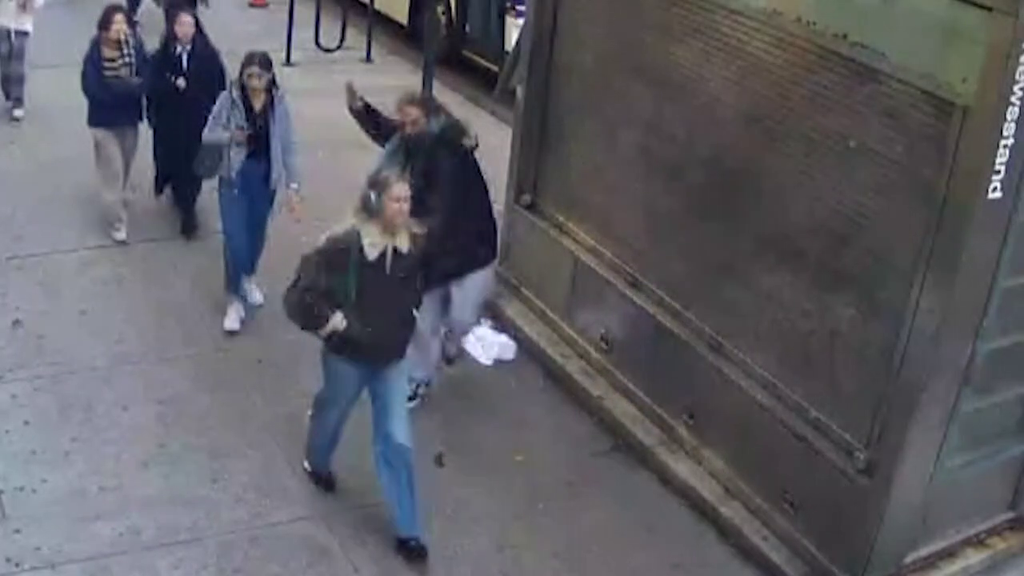NYU student randomly attacked by repeat offender, police sources say
