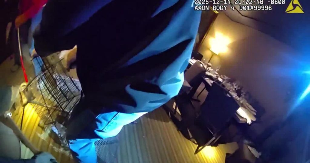 Wild raccoon bites diner after falling through restaurant ceiling in Wisconsin