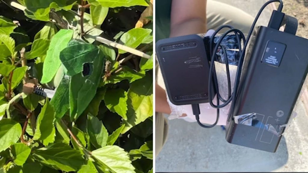 Lakewood neighborhood on edge after hidden cameras found in bushes