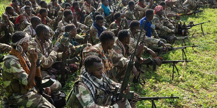 Treasury Opens Federal Investigation into Claims Minnesota Tax Dollars Reached Al-Shabaab