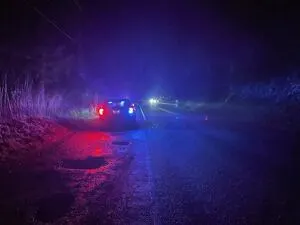 Driver dies after losing control of car on SR 106 in Mason County