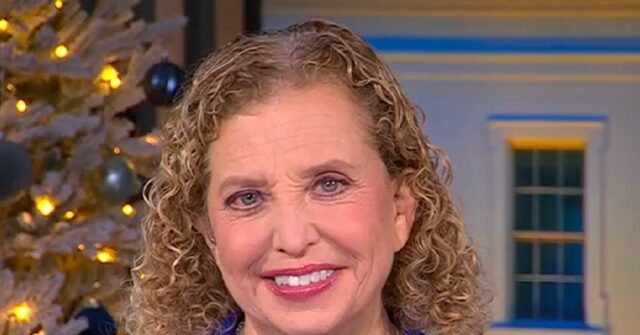 Wasserman Schultz: Trump Wasting ‘Hundreds of Millions of Dollars Deporting People’