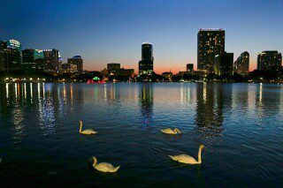Orlando’s iconic swans at Lake Eola die suddenly, bird flu suspected