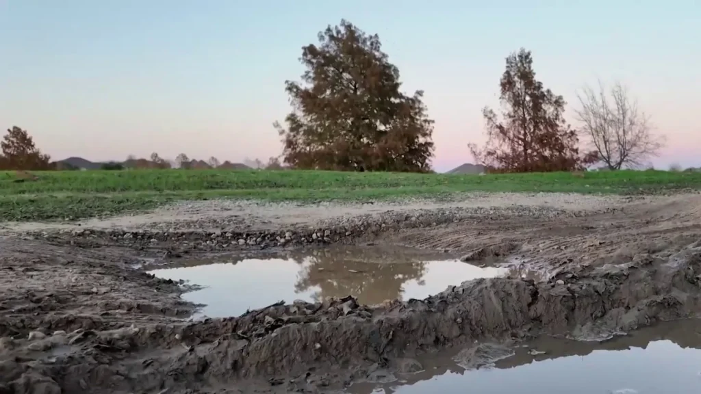 Fort Bend County woman sounds alarm as crumbling dirt road plagues visitors to historic cemetery
