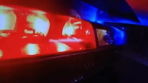 Ohio man killed after hit by vehicle